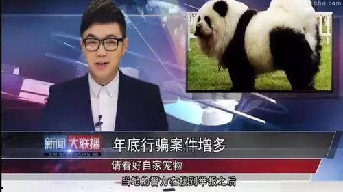 大鹏最新爆料新闻,揭秘娱乐圈幕后真相 第2张 大鹏最新爆料新闻,揭秘娱乐圈幕后真相 第2张