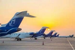 大连飞机场爆料最新消息,航班调整与安全措施升级全解析 第2张 大连飞机场爆料最新消息,航班调整与安全措施升级全解析 第2张